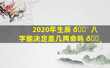 2020年生辰 🌴 八字能决定是几两命吗 🕸